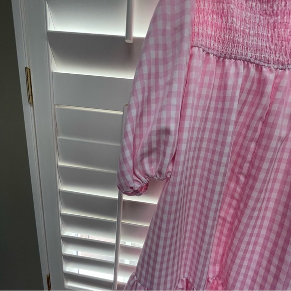 Pink Gingham Dress - Picture 5 of 5